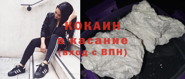 тгк Новозыбков