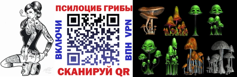 Купить где  Дивногорск  Псилоцибиновые грибы MAGIC MUSHROOMS 